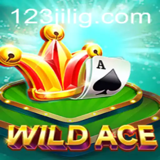 Exploring WildAce: A Comprehensive Overview of the Gaming Experience